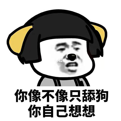 舔狗表情图_幽默自嘲表情包，朋友间调侃好选择