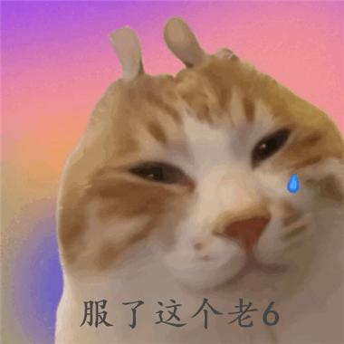 老六专用沙雕表情包_老六熊猫表情包，搞怪搞笑，网上聊天必备