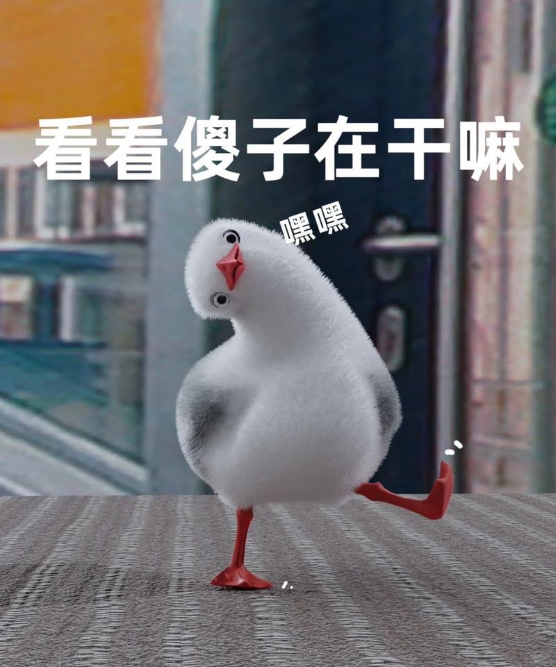 沙雕老六表情包_幽默又自嘲，社交聊天添乐趣
