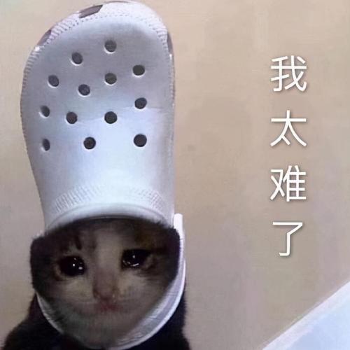我太难了图片 搞笑_轻松时刻，幽默解压，分享或做壁纸！