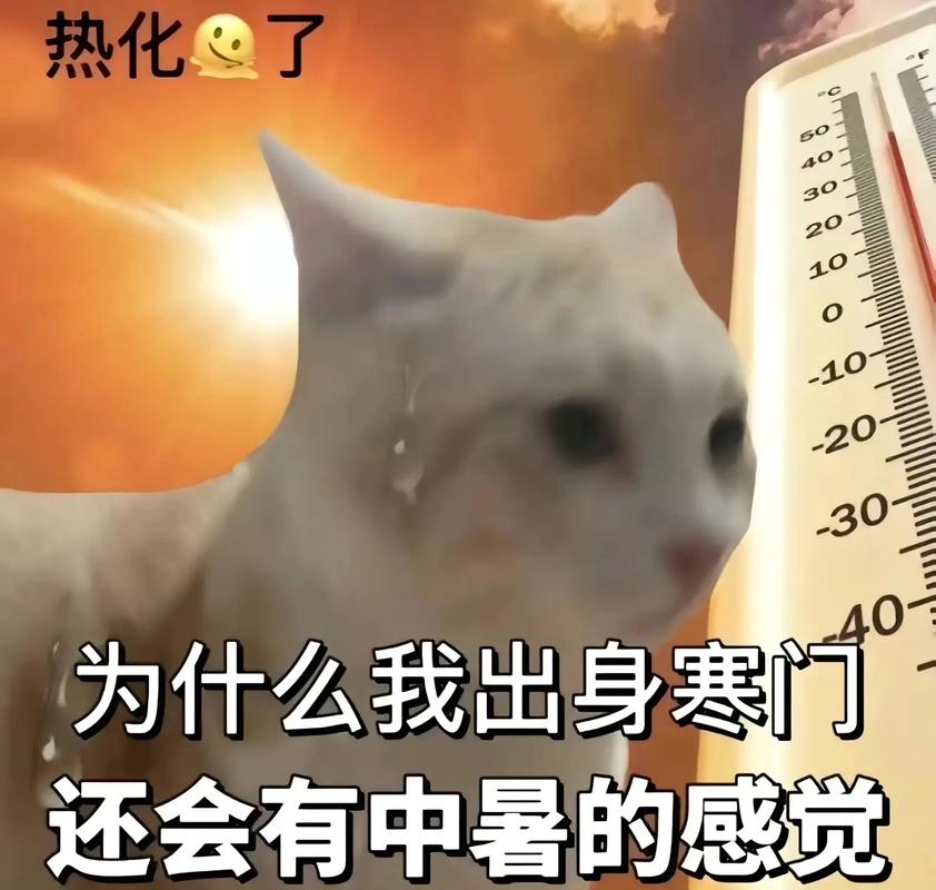热死了表情搞笑图片_炎炎夏日笑出声！搞笑热死表情包，轻松一下心情！